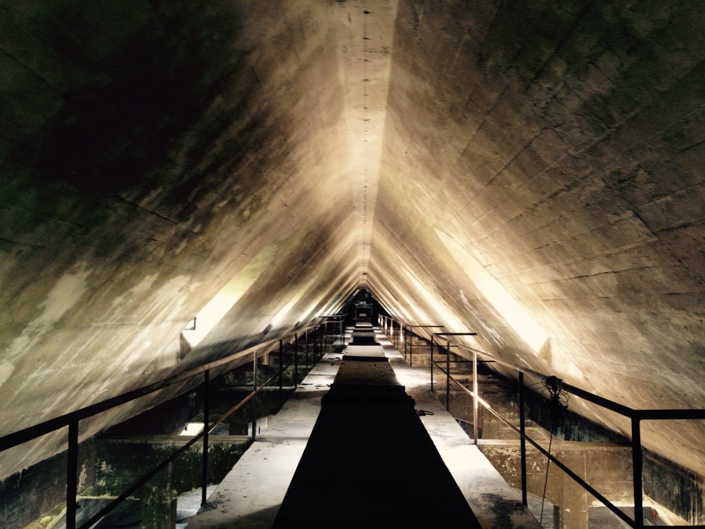 ABANDONED URBAN HIGHLINES